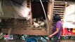 Department of Agriculture, kinumpirma ang Bird Flu outbreak sa Pampanga
