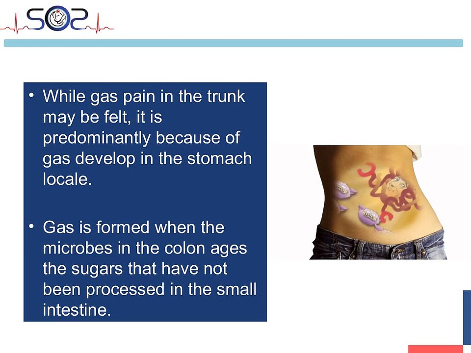 Professional Medical Care on Demand - Stomach Problem Causes - SOS Doctor House Call