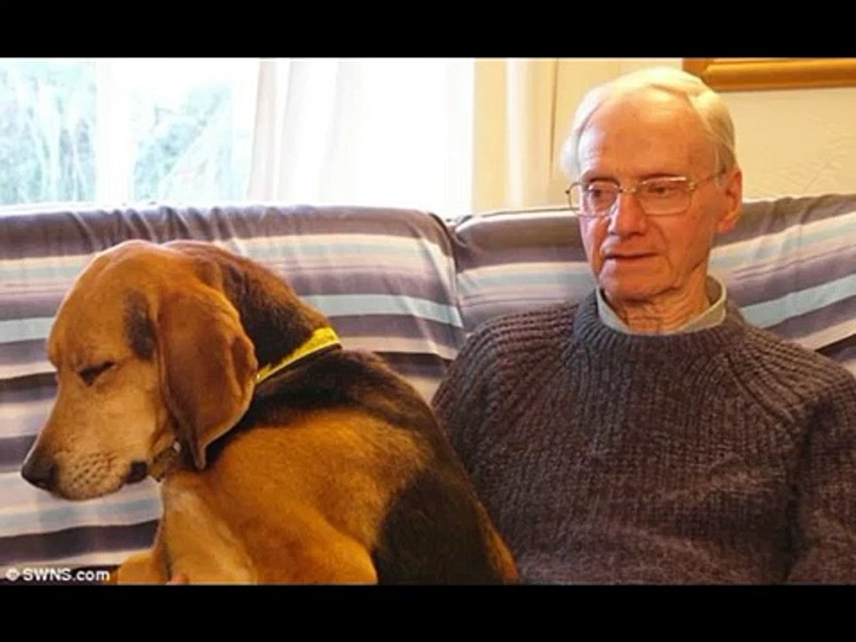Norfolk man stabbed to death as he walked dogs _ BREAKING NEWS