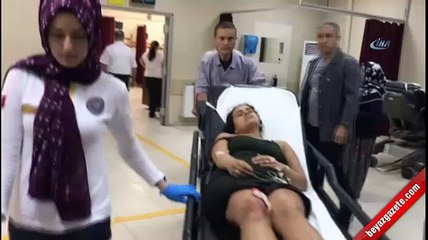 Kardeşlerin arsa kavgası kanlı bitti