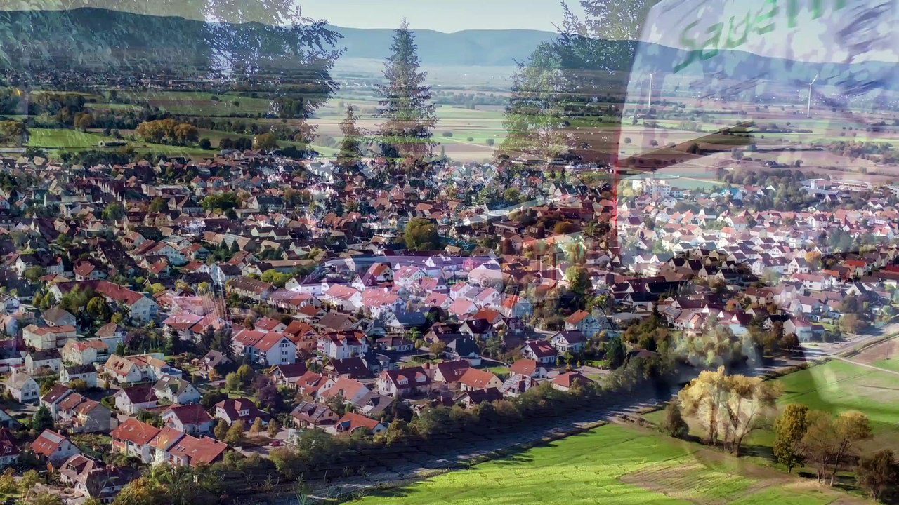 Sauerhöfer Verputz GmbH - Maler- und Stuckateur aus Böhl-Iggelheim