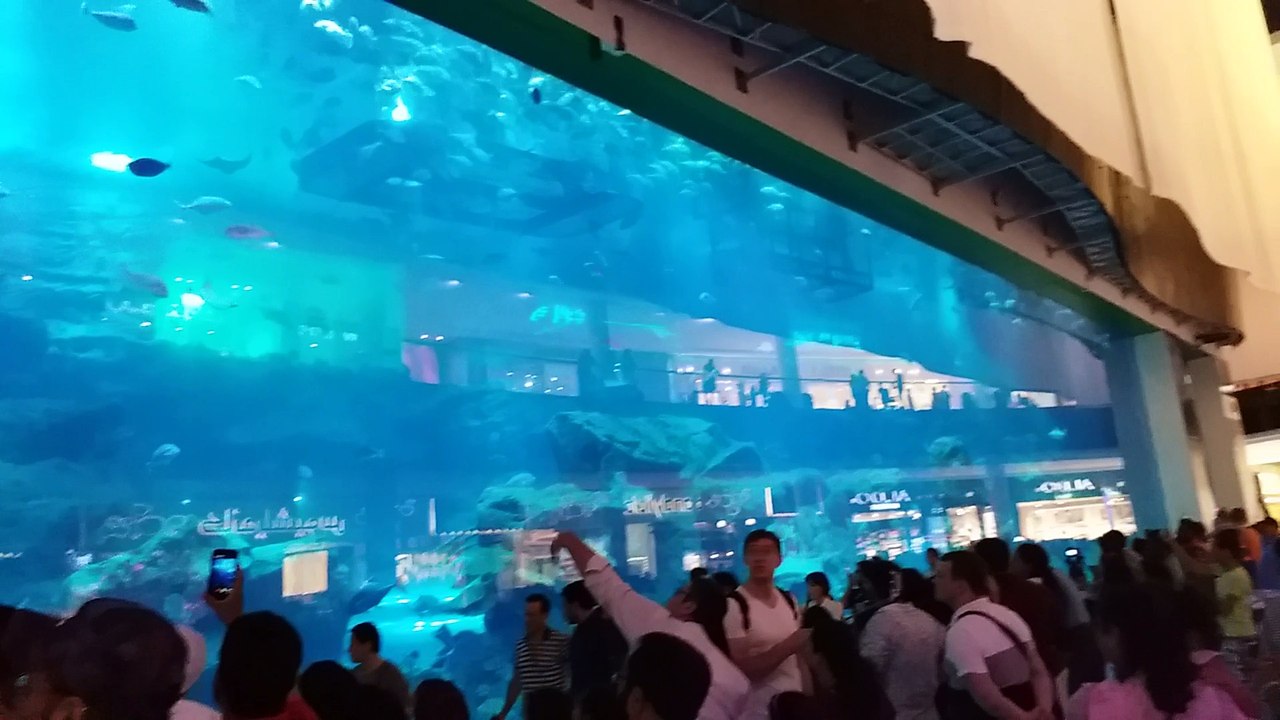 Tour Dubai