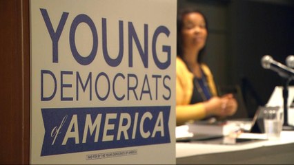 US Democrats struggle to define their future