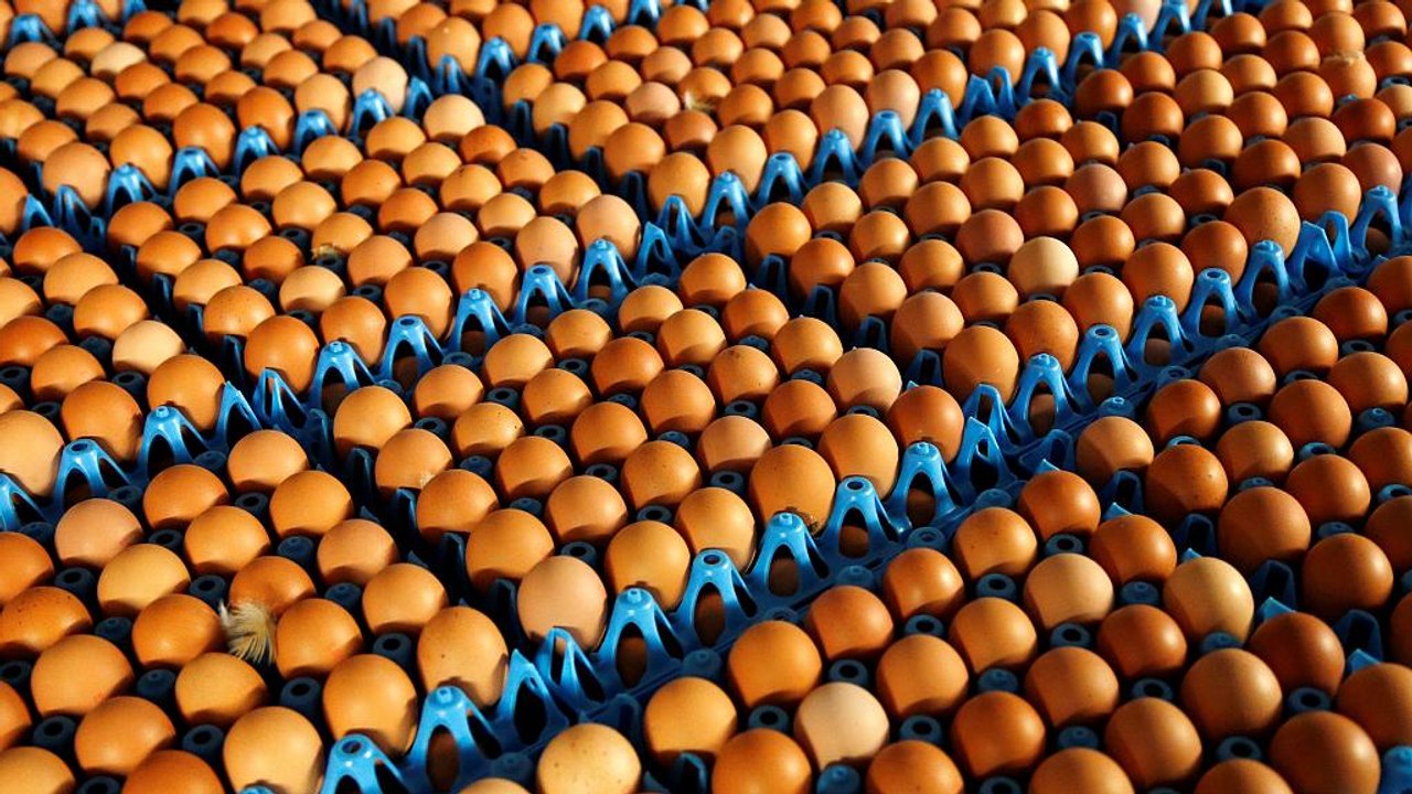 Europäischer Eiergipfel Ende September