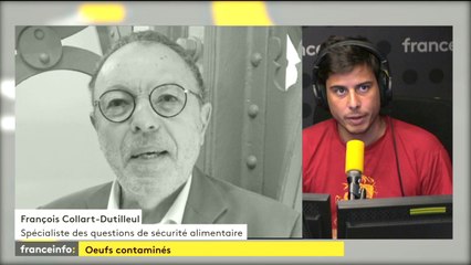 Oeufs contaminés : "Il y a un dysfonctionnement à l'échelle de l'Europe très grave"