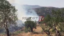 Report TV - Digjen tre banesa nga zjarri në Mallakastër, rrezik në Vorë