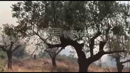 Ora News - Digjen 3 banesa në Çorrush të Mallakstrës. Evakuohen banorët