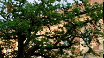 Prava žena - Epizoda 56