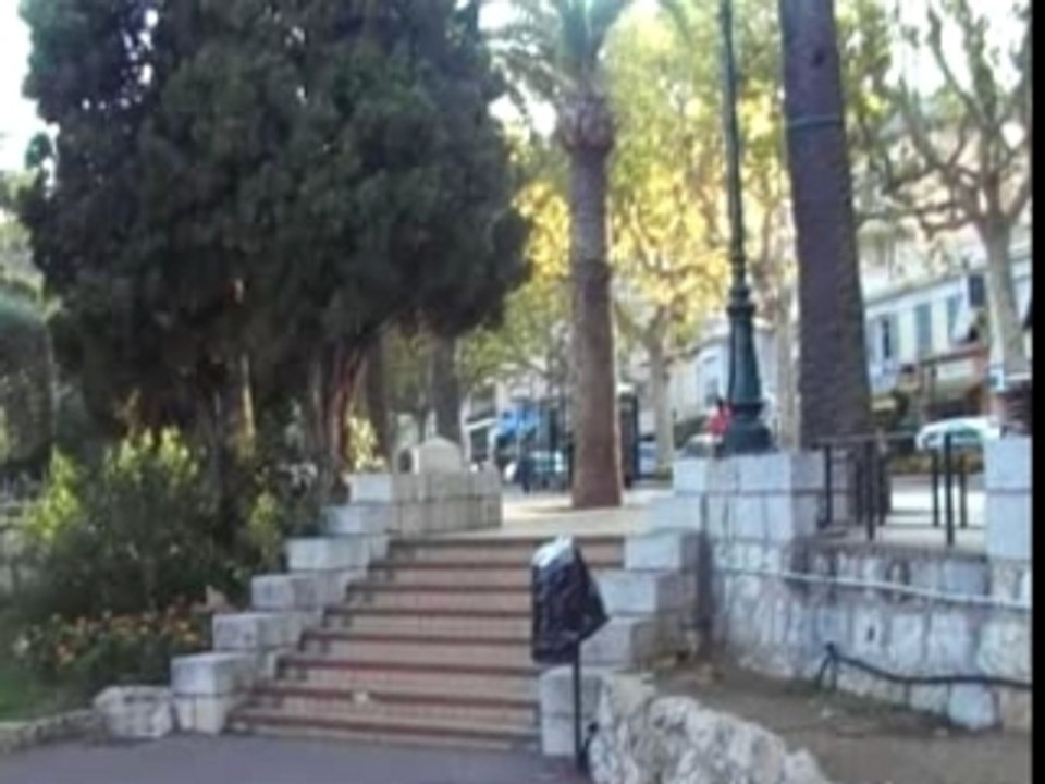 ollie marche