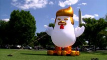 Un coq géant coiffé comme Donald Trump gonflé devant la Maison Blanche