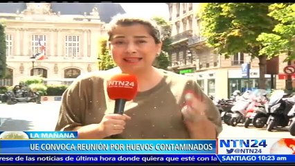 Unión Europea convocó a reunión con los países afectados por huevos contaminados con el pesticida fipronil