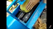 Machines les Plus Incroyables du Monde, Machines de Noix de Coco