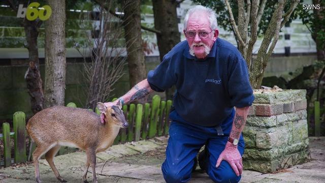 A Man Adopts A Baby Deer and It's the Cuteness We Need
