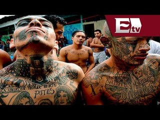 Detienen a 7 Maras Salvatrucha en Chiapas / Vianey Esquinca