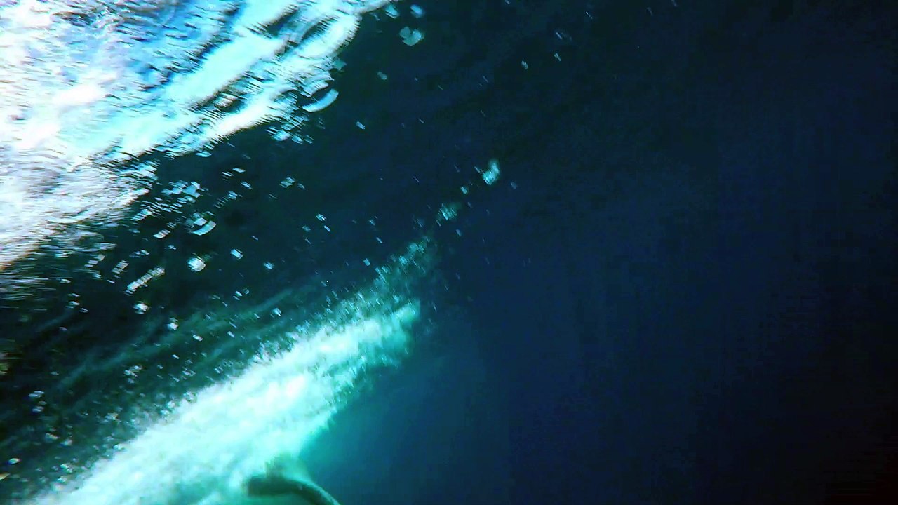Find the Flipper