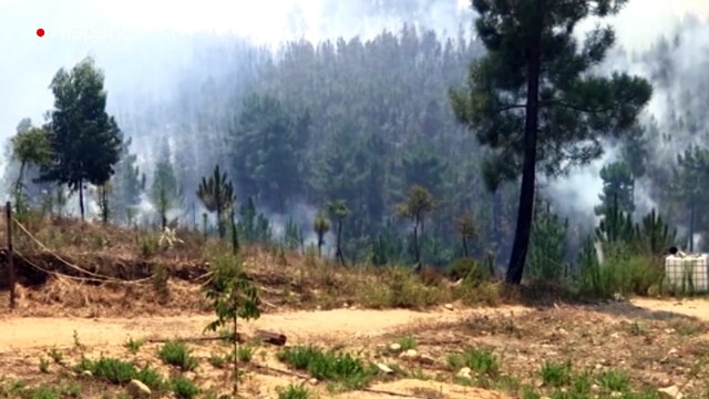 Bomberos combaten dos incendios de grandes proporciones en Portugal