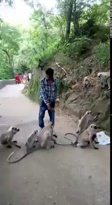 TRY NOT TO LAUGH