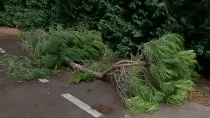 Italien: Verwüstung durch schwere Unwetter