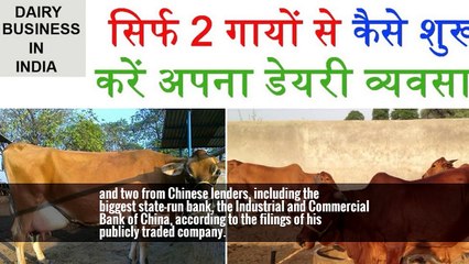 A Deal for an Australian Dairy Wrapped in Layers of Chinese Loans