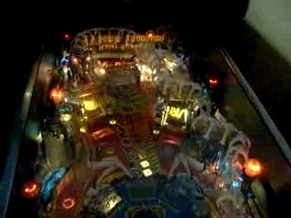 Scarred stiff pinball flipper biloumuray