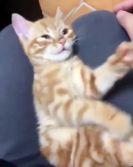 This is how white people look like when they're dancing. funny