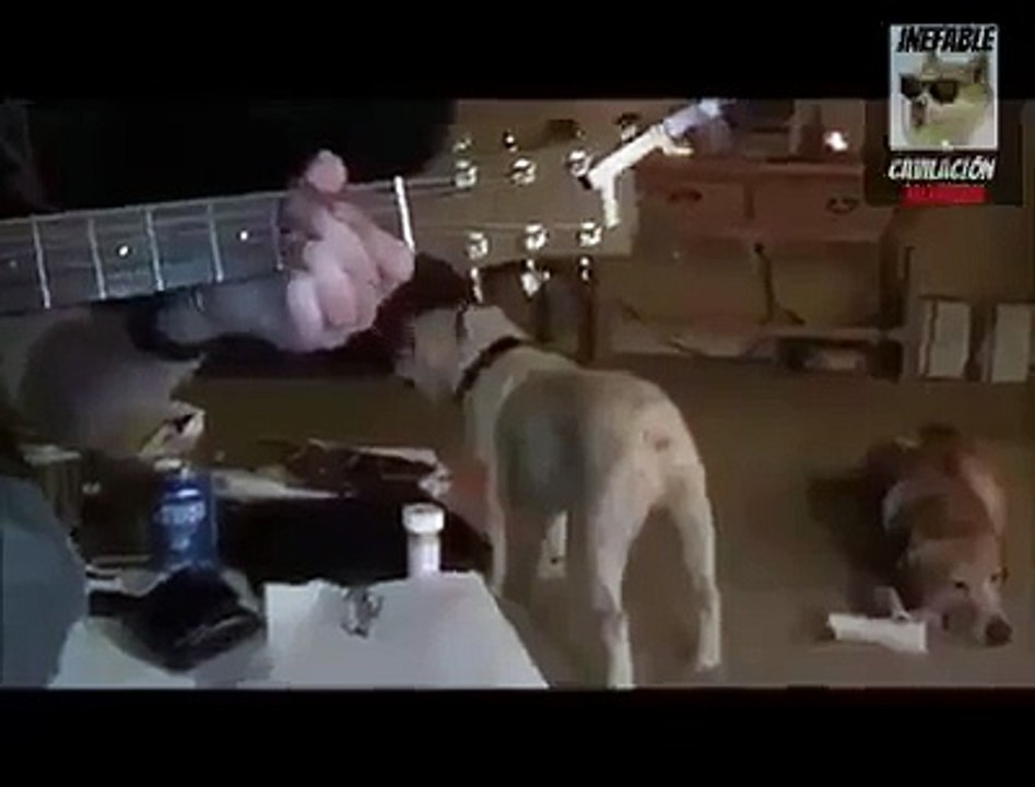 Wait for it funny