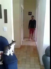 RT @OopsGamer: Have a great weekend everyone :)   #FridayFeeling #FridayFun