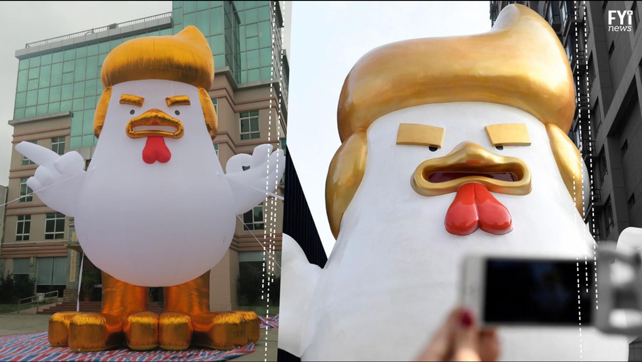 The Chicken Don