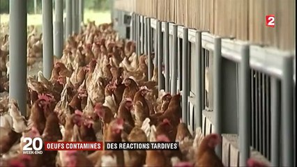 Oeufs contaminés : la réaction tardive des pays touchés par la crise