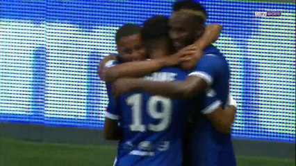 Nice vs Troyes 2-1 Highlights 11/08/2017 HD