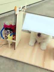 Puppy's Robot Servant