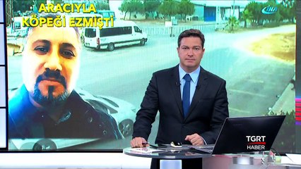 Tüm Türkiye'den Özür Diliyorum