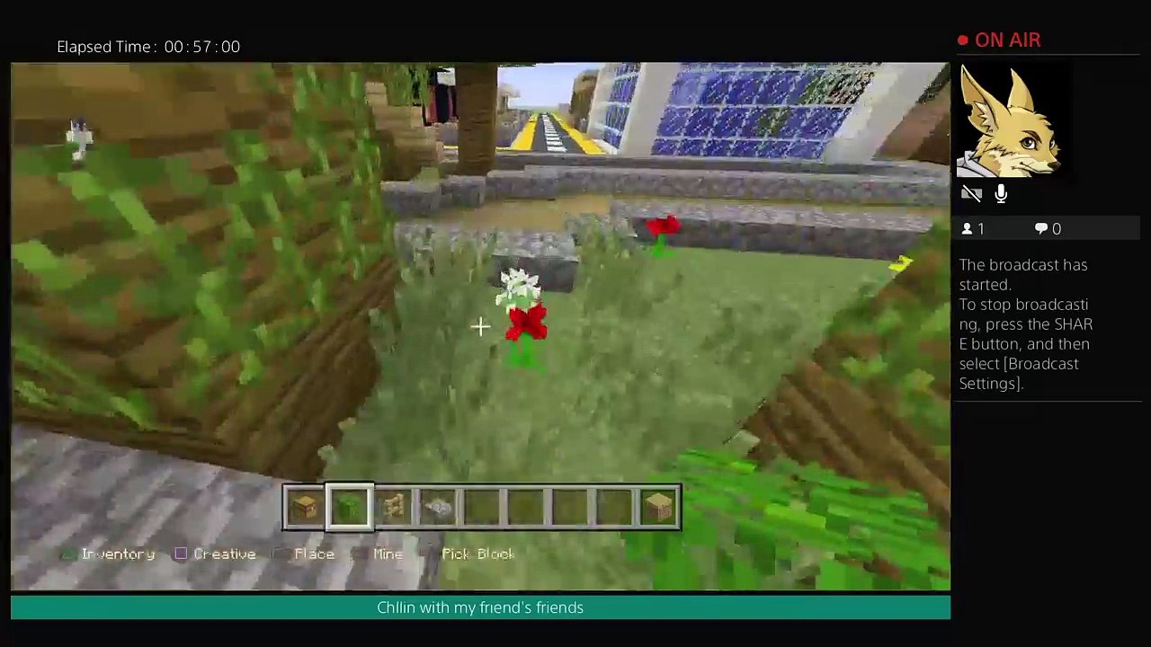 Minecraft animals (30)