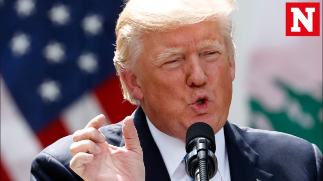 The four kinds of Republicans who could primary Trump