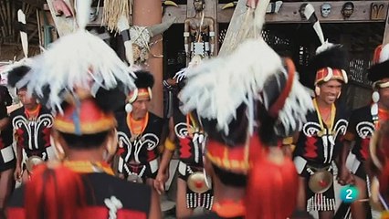 Documental Animales que cambiaron la historia 6- La inspiración online