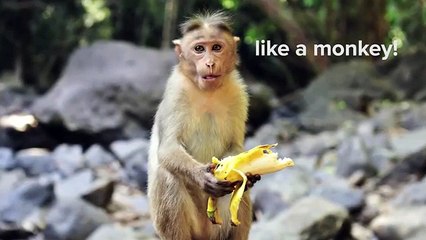 4 Foods You're Peeling Wrong