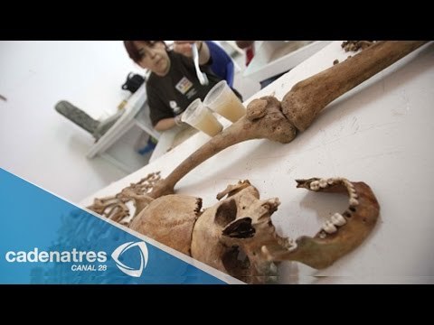 El uso de la morfina, identificación de restos humanos y tráfico de especies en Semanal 28 05/01/15