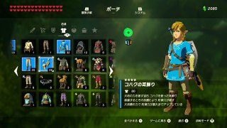 【世界を繋ぐゼルダの伝説】-ブレス オブ ザ ワイルド- 実況プレイ part8-8lEQEj0U5Bs