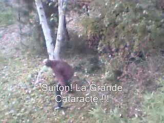 La Grande Cataracte Naruto