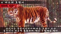 [랭킹 TOP 6] 지난 1세기 동안 멸종한 동물 TOP 6 _ 랭킹TOP7  티비플
