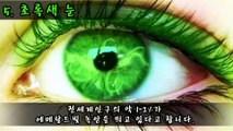 [랭킹 TOP 6] 희귀한 눈동자 TOP 6 _ 랭킹TOP7  티비플