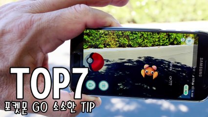 [랭킹 TOP 7] 포켓몬 GO에 관한 소소한 TIP 7가지 팁 _ 랭킹 TOP 7티비플순위충격동심파괴후방감동실화실제BEST레전드