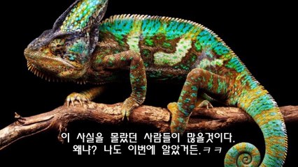 [프롬더탑] 야한 생각을 하면 머리카락이 빨리 자란다 우리가 잘못 알고 있는 상식 10가지