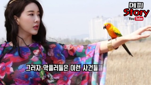 말 가려서 하세요. 장미인애가 곽정은에게 저격 글을 남긴 이유 과거 장미인애의 사건들에 대한 악플 _ 메피스토리 #핫이슈 #화제 #논란 #정리