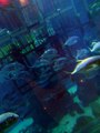 Tour Dubai Fish Aquarium