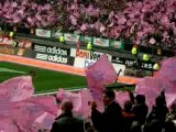 Stade Francais - Clermont