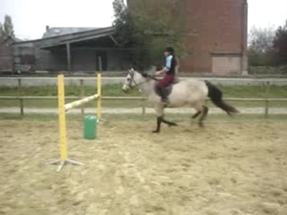 Quoock 9
