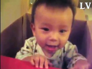 Funny Babies - Playing In Boxes with fun