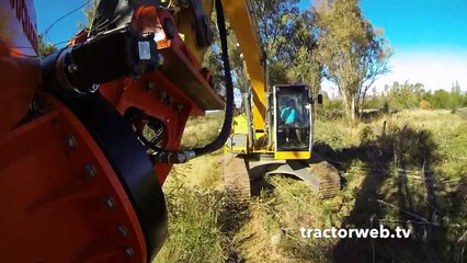 Orman işi yapanlar izlesin