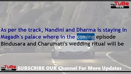 Chandra Nandini,12th Aug 2017 News, Dharma,becomes,dancer in,Bindusara and,Charumati's,Sangeet,cerem